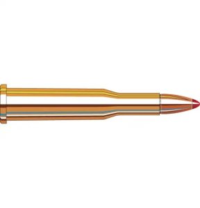 Náboj kulový Hornady, LeverEvolution, .25-35 Win., 110GR (7,1g), FTX