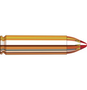 Náboj kulový Hornady, Custom, .450 Bushmaster, 250GR (16,1g), FTX