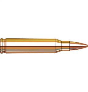 Náboj kulový Hornady, Match, .223 Rem., 75GR, BTHP Match