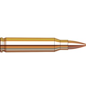 Náboj kulový Hornady, Superformance Match, .223 Rem, 75GR, BTHP