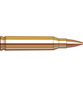 Náboj kulový Hornady, Frontier, .223 Rem., 55GR, HP Match