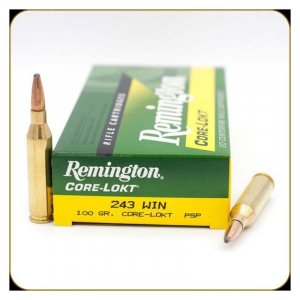 Náboj kulový Remington, Core-Lokt, .243 Win. , 100GR (6,4g), Soft Point, PSSP CL