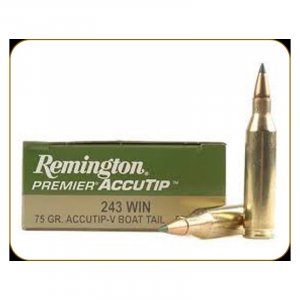 Náboj kulový Remington, Premier Accutip, .243 Win., 75GR (4,8g), AccuTip BT