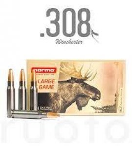 Náboj kulový Norma, Silencer, .308 Win., 170GR/ 11g, Tipstriker