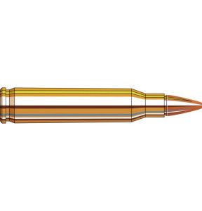 Náboj kulový Hornady, Superformance, .223 Rem., 50GR (3,24g), CX