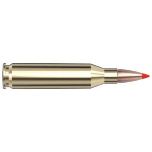 Náboj kulový Hornady, American WhiteTail Tipped, .243 Win., 95GR (6,16g), SST