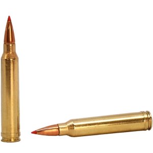 Náboj kulový Hornady, American WhiteTail Tipped, .300 WinMag., 165GR (10,79g), SST